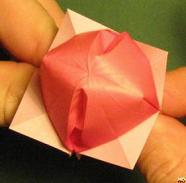 Sharonfrugt foldes, 45