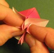 Sharonfrugt foldes, 47