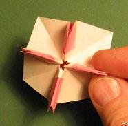 Sharonfrugt foldes, 48