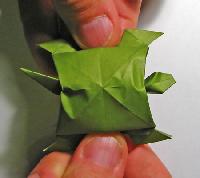 skildpadde foldes, 31