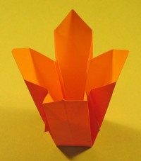vase foldes, 37